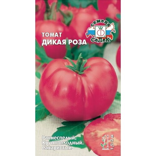 ������ ������ ������ ����� ����� ���� 0,1� ����� ������ (�����) ����