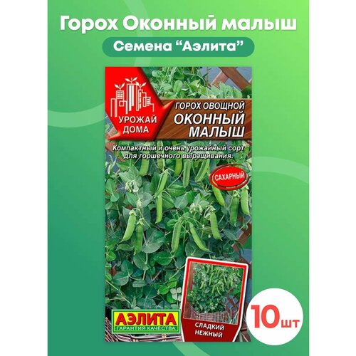 ������ ������ ������ ����� 