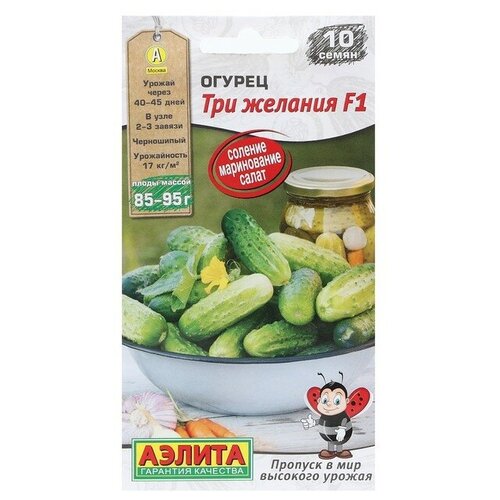 ������ ������ ������. ������ 