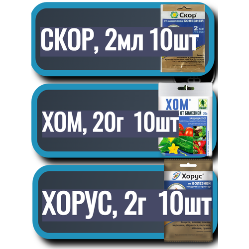 ������ ������ ����� ���������� ��� ������� � ���� 