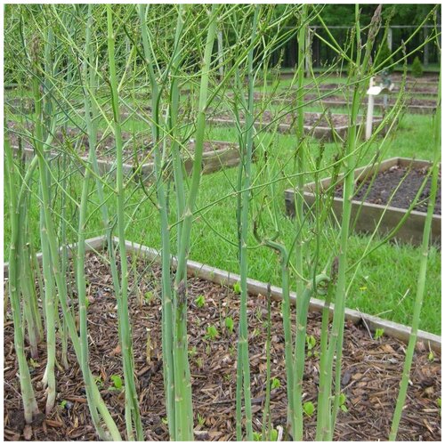 ������ ������ ������ ������ ������ ������������� 30 ��. ����