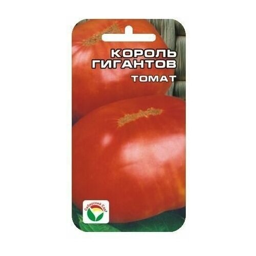 ������ ������ ������ �������� 20�� ����� (��� ���) ����