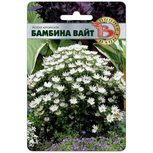 ������ ������ ������ ����� ��������� ������� ���� (20 �����) ����