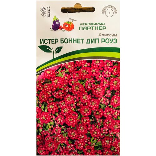 ������ ������ ������ �������� 