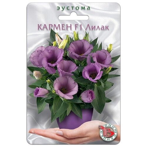 ������ ������ ������ ������� (���������) 