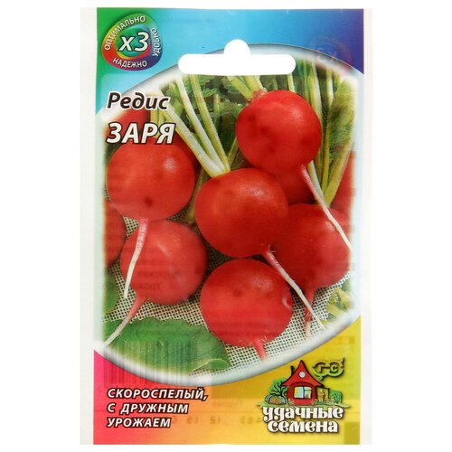 ������ ������ ������ ����� 