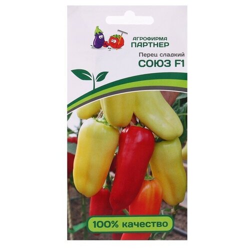 ������ ������ ������ ����� �������� 