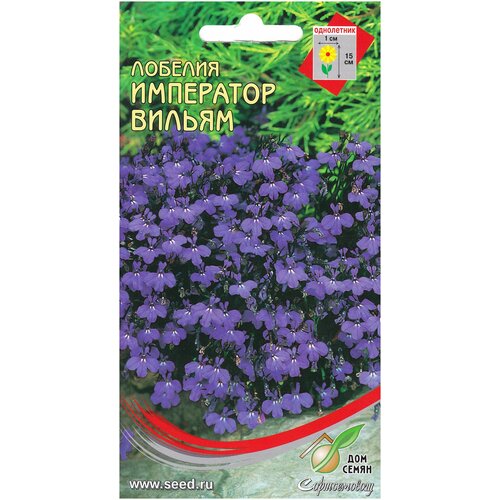 ������ ������ ������� ��������� ������, 1000 ����� ����