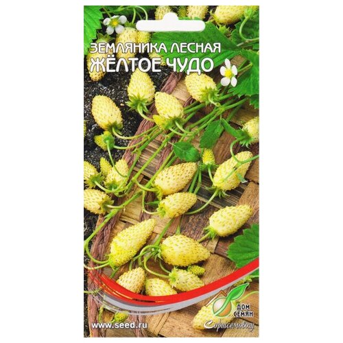 ������ ������ ��������� ������ ������ ����, 75 ����� ����