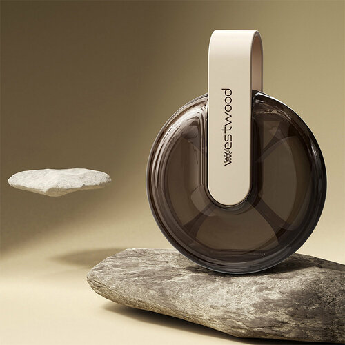 ������ ������ ���������� ����