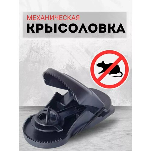 ������ ������ ���������� ����