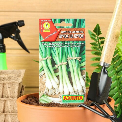 ������ ������ ������ ��� �� ������ 