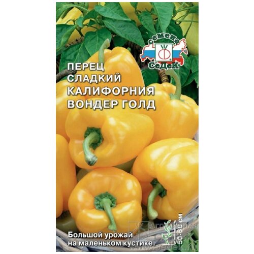 ������ ������ ������ ����� ���������� ������ ���� ����