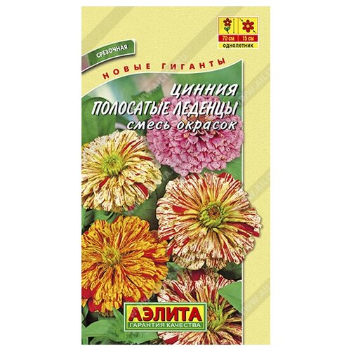 ������ ������ ������ 