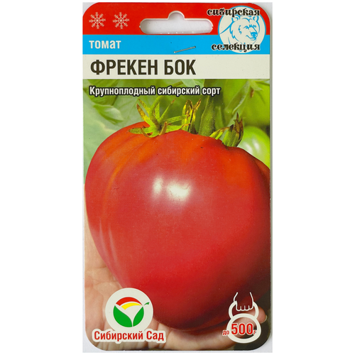 ������ ������ ������ ����� ������ ���, 20 ����� ����