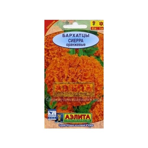 ������ ������ ������. �������� 