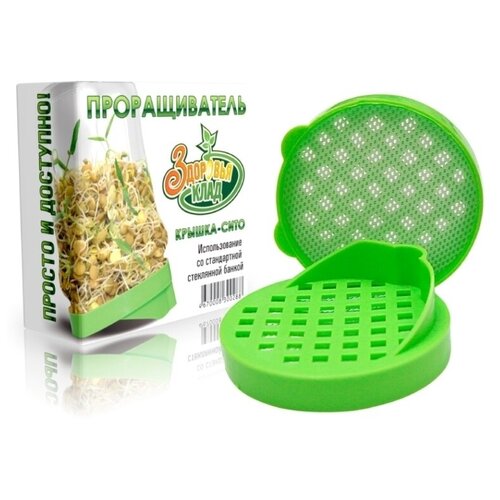 ������ ������ ������������� ����� ������ - ���� - 6 ��, �������� ���� ����