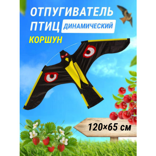 ������ ������ ������������ ���� ����������/ ��������� ���� ������ ��� ���� ������� ������� ������� ������ �������� ������� �� ���������� ������ ������� �������� ����