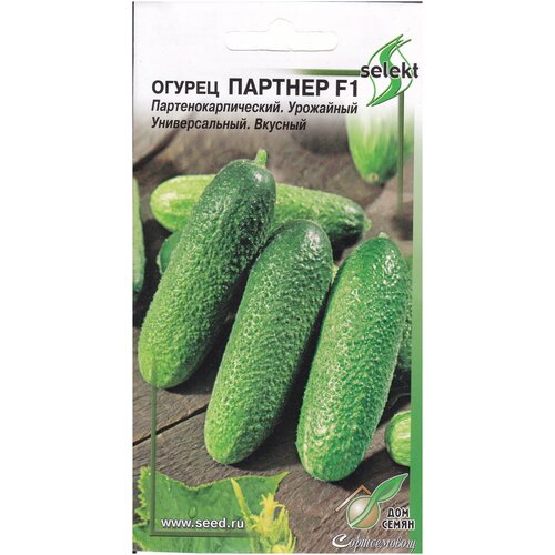 ������ ������ ������ ������� F1, 10 ����� ����