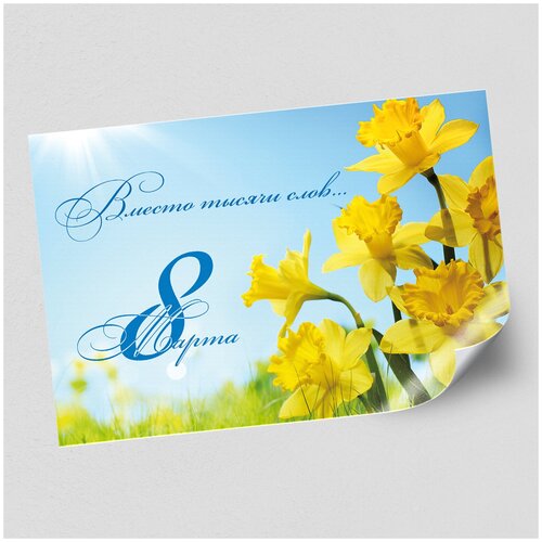 ������ ������ ����������/������ �������������� �� 8 �����, ������ �-1 (84x60 ��.) ����