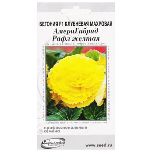 ������ ������ ������� F1 ��������� �������� ����� ������ ����, ������, 5 ����� ����