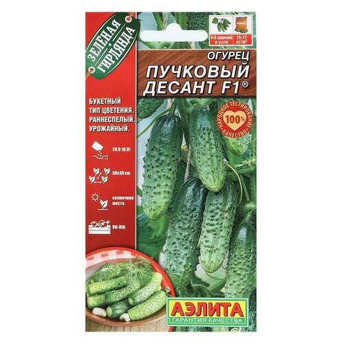 ������ ������ ������ ������ 