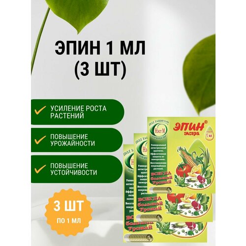 ������ ������ ���� ������ 1 �� (3 ��) ����