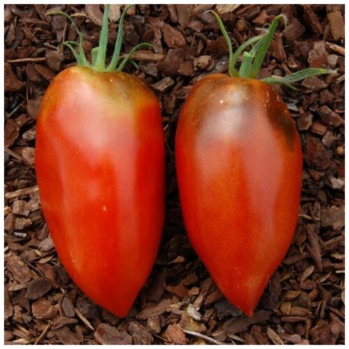 ������ ������ ������ ������ ����� ����������� ��������� 10 ��. ����