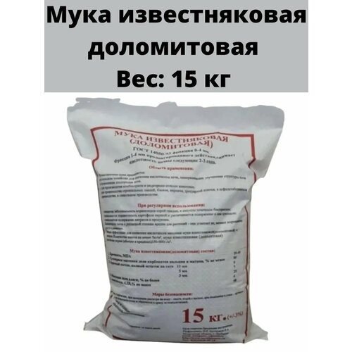 ������ ������ ��������������� ���� ����������� 15 �� ����