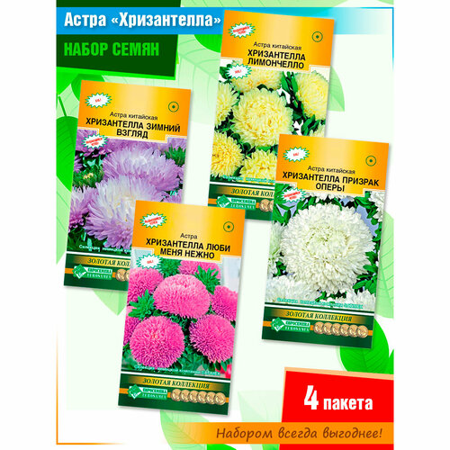 ������ ������ ����� ����� ������� ������ 