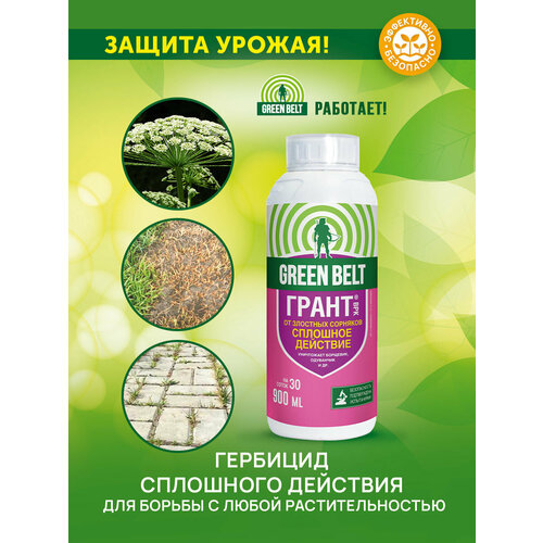 ������ ������ �������� �� �������� ��������� �������� GREEN BELT 