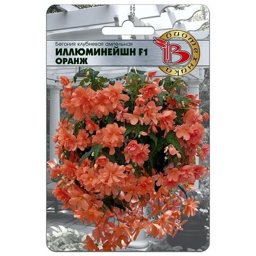 ������ ������ ������ ������� ��������� ��������� 