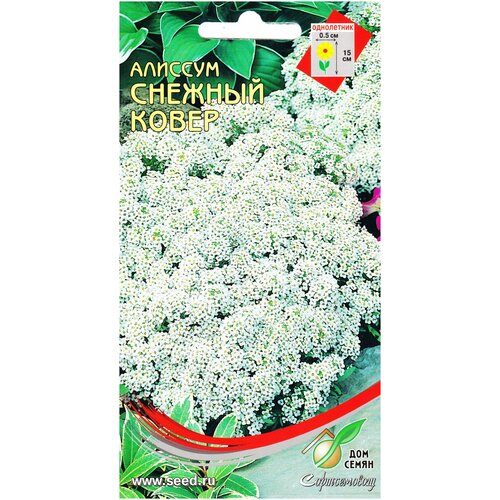 ������ ������ ������� ������� �����, 180 ����� ����