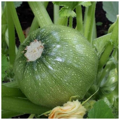 ������ ������ ������ ������ ������� ���������� 10 ��. ����