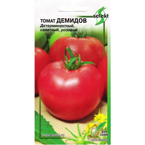 ������ ������ ����� �������, 25 ����� ����