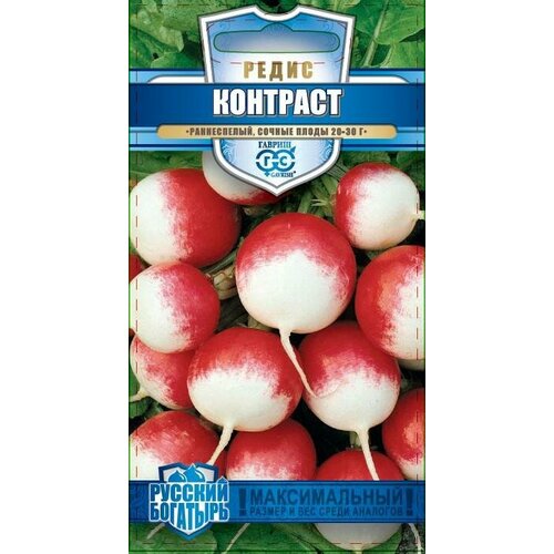 ������ ������ ������ ����� �������� 2� ������ (������) ������� �������� ����