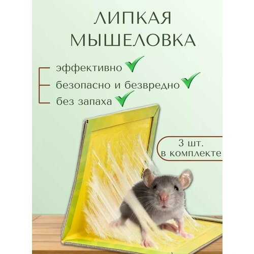 ������ ������ ��������� ������� ��� ����� ������� ����