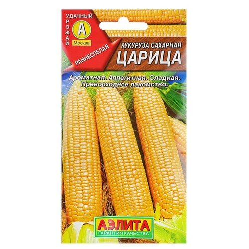 ������ ������ ������ �������� �������� 