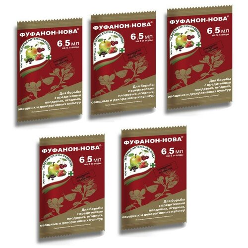 ������ ������ �������-���� (6.5 ��),5�� ����