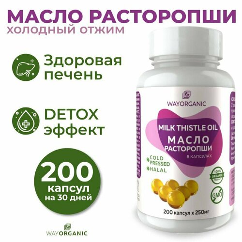 ������ ������ ����� ���������� � �������� , ���������� ������� ����� ����