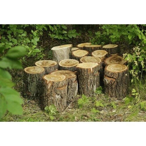 ������ ������ ����� �� ����������� 45-50�� ��������� ����