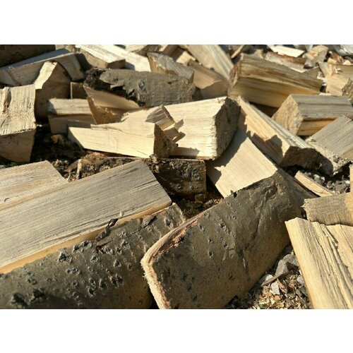 ������ ������ ����� 20 �� ����� ����� ������� � �������� ����