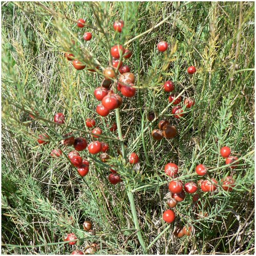 ������ ������ ������ ������ ������ ������������� 10 ��. ����