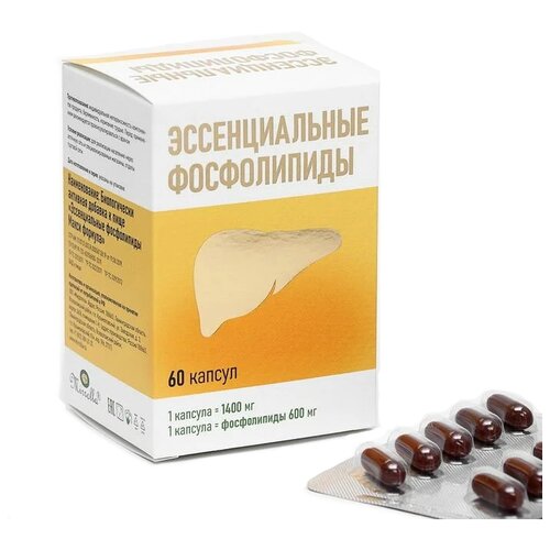 ������ ������ ������������� ����������� ����� ������� ����., 1.4 �, 60 ��., 1 ��. ����