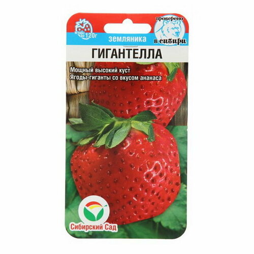 ������ ������ ������ �������� 