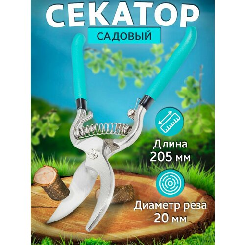 ������ ������ �������� ��� ������� ����