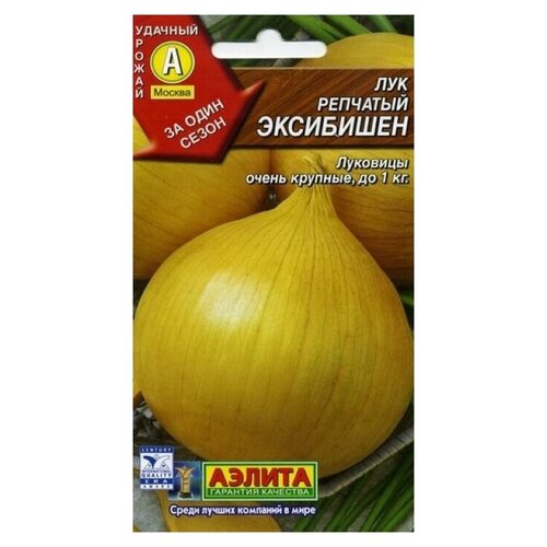 ������ ������ ������ ��������� ������ ��� �������� ��������� 0.3 � ����