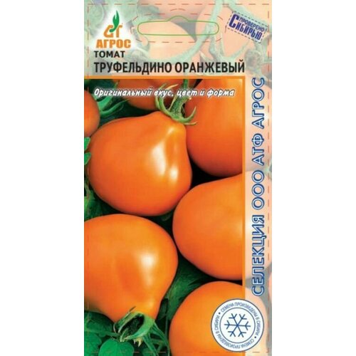 ������ ������ ������ �������� ����� ����������� ��������� ����