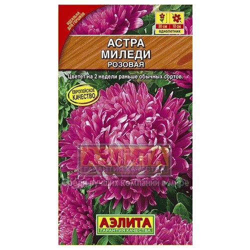 ������ ������ ������� ����� 