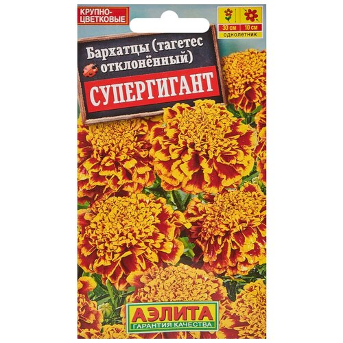 ������ ������ ������. �������� 